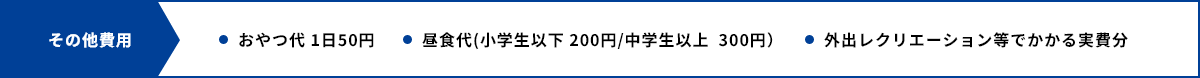 その他費用　・おやつ代 1日50円　・昼食代(小学生以下 200円/中学生以上  300円）　・外出レクリエーション等でかかる実費分